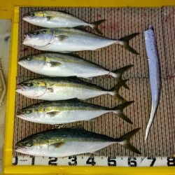 火遠理丸(ほおりまる) 釣果