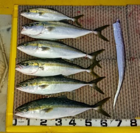 火遠理丸(ほおりまる) 釣果