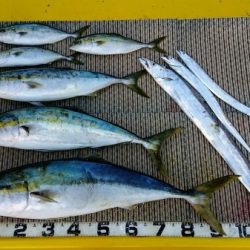 火遠理丸(ほおりまる) 釣果