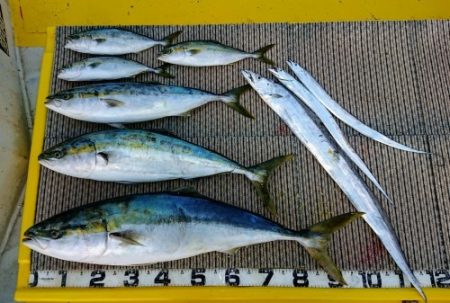 火遠理丸(ほおりまる) 釣果