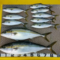 火遠理丸(ほおりまる) 釣果