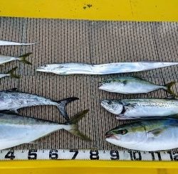 火遠理丸(ほおりまる) 釣果