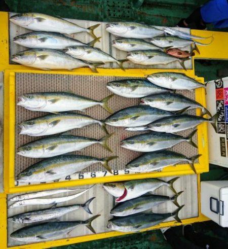 火遠理丸(ほおりまる) 釣果