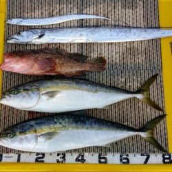 火遠理丸(ほおりまる) 釣果