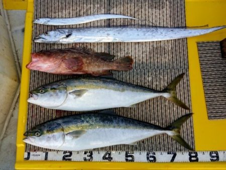 火遠理丸(ほおりまる) 釣果