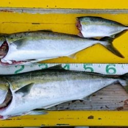 火遠理丸(ほおりまる) 釣果