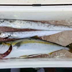 火遠理丸(ほおりまる) 釣果