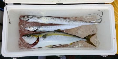 火遠理丸(ほおりまる) 釣果