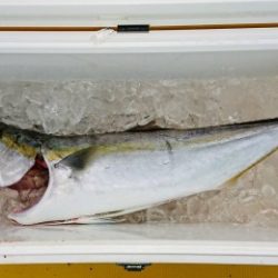 火遠理丸(ほおりまる) 釣果