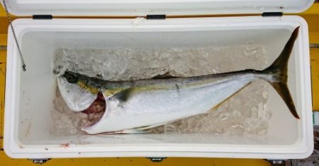 火遠理丸(ほおりまる) 釣果