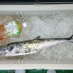 火遠理丸(ほおりまる) 釣果