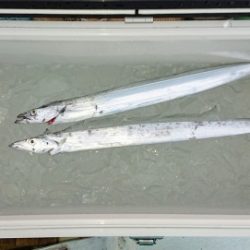 火遠理丸(ほおりまる) 釣果