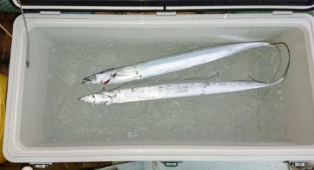 火遠理丸(ほおりまる) 釣果