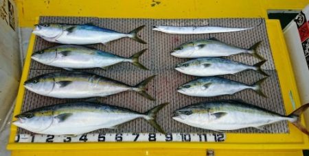 火遠理丸(ほおりまる) 釣果