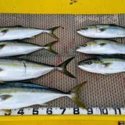 火遠理丸(ほおりまる) 釣果