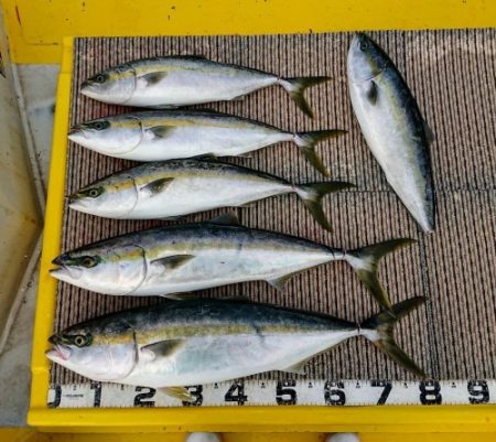 火遠理丸(ほおりまる) 釣果