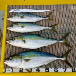 火遠理丸(ほおりまる) 釣果