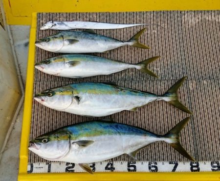 火遠理丸(ほおりまる) 釣果