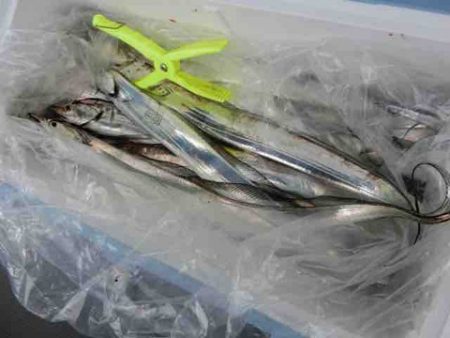 遊漁船 セトマリン 釣果