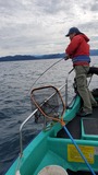 功晴丸 釣果