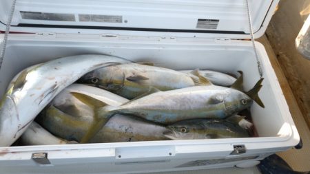 遊漁船　ニライカナイ 釣果