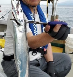遊漁船 ニライカナイ 釣果