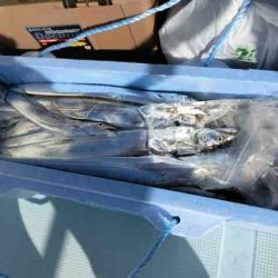 遊漁船 セトマリン 釣果