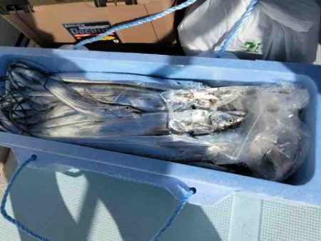 遊漁船 セトマリン 釣果