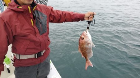 遊漁船 ニライカナイ 釣果