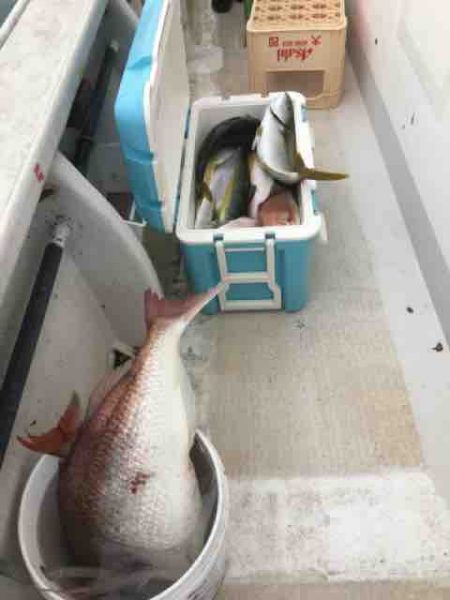 龍宮丸 釣果