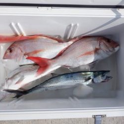 開進丸 釣果