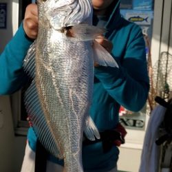 遊漁船 ニライカナイ 釣果