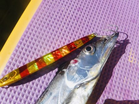 エサ・ジギング相乗りレポート【メガバス（Megabass）スラッシュビートシリーズ　インプレッション】