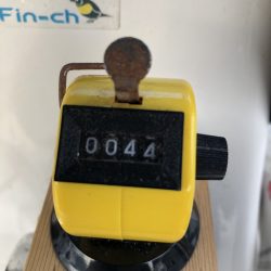 Magic(マジック) 釣果