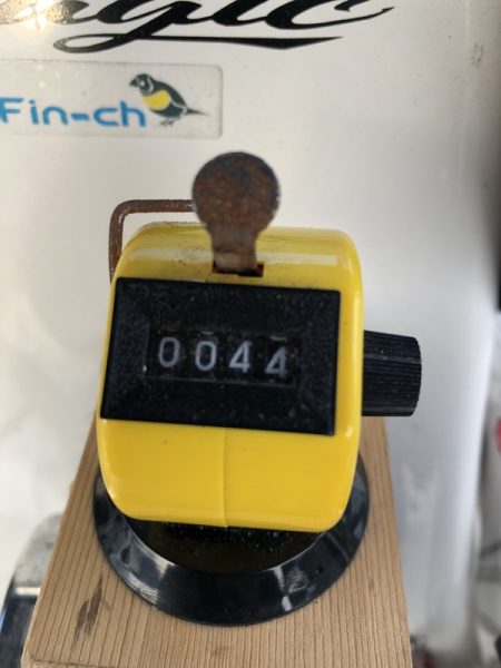 Magic(マジック) 釣果