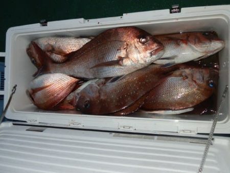 第二むつ漁丸 釣果