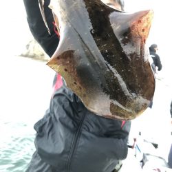 Magic(マジック) 釣果