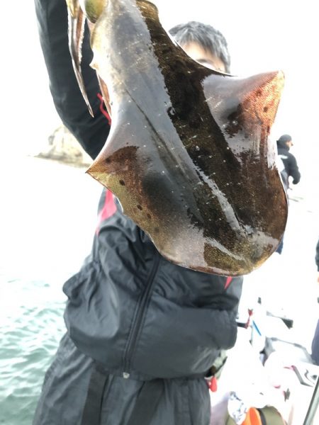 Magic(マジック) 釣果