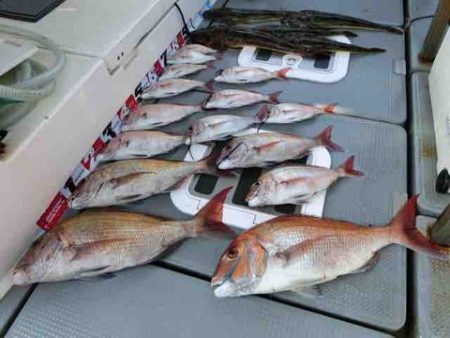 遊漁船 セトマリン 釣果