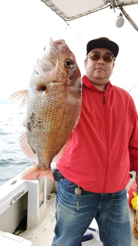 遊漁船 ニライカナイ 釣果