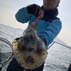 Magic(マジック) 釣果