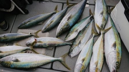 IDATEN(イダテン) 釣果