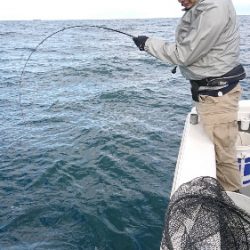 IDATEN(イダテン) 釣果