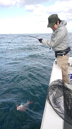 IDATEN(イダテン) 釣果