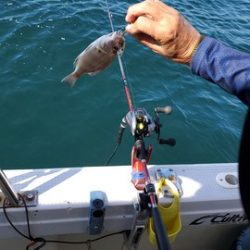 遊漁船 ニライカナイ 釣果