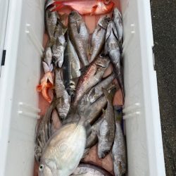 へいみつ丸 釣果