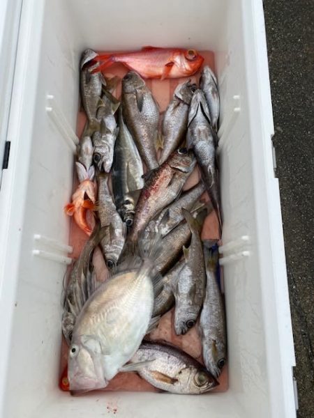 へいみつ丸 釣果