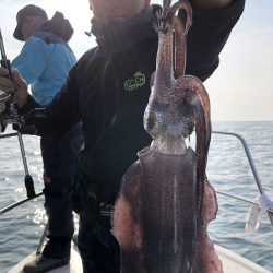 Magic(マジック) 釣果