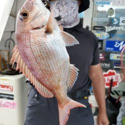 遊漁船 ニライカナイ 釣果