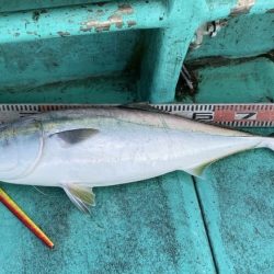 広進丸 釣果